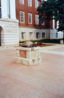 university of maryland, college park (image)