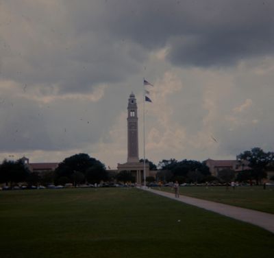 louisiana state university (image)