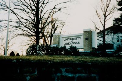 university of arkansas (image)