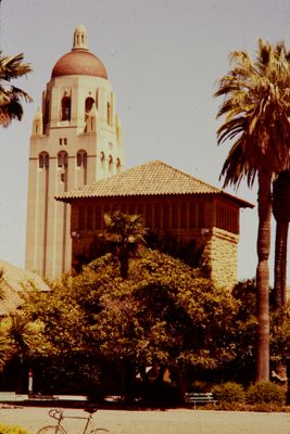 stanford university (image)