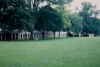 university of virginia (image)