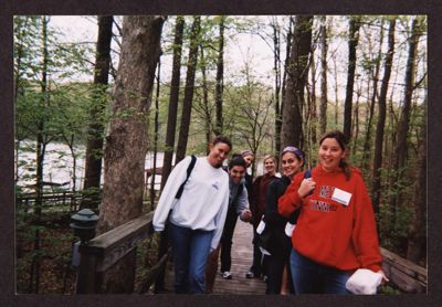 wooded area with wooden footbridge photograph, april 2004 (image)