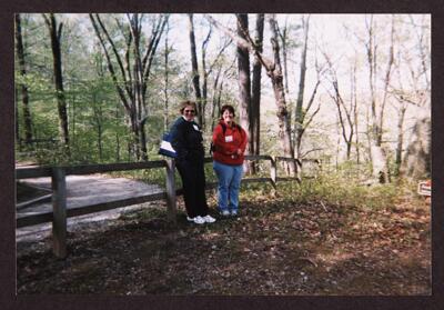 wooded area with wooden footbridge photograph, april 2004 (image)