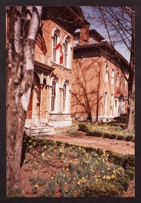 university of connecticut (image)