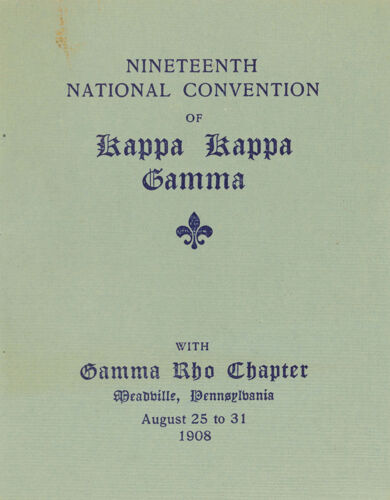 Image, 1908 National Convention