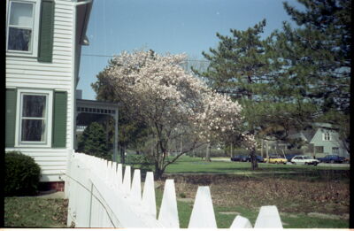 university of pennsylvania (image)
