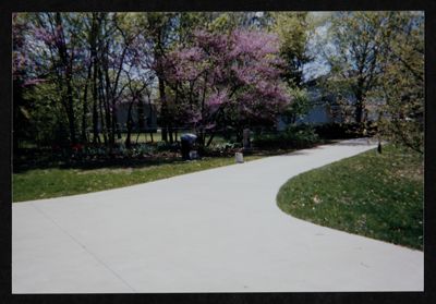 university of pennsylvania (image)