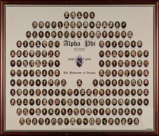 Beta Epsilon Chapter Composite Photograph, 2008-2009