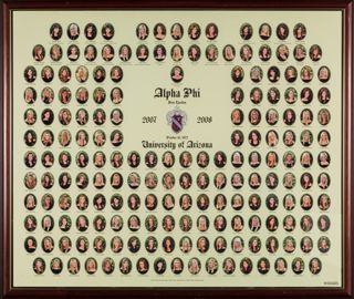 Beta Epsilon Chapter Composite Photograph, 2007-2008