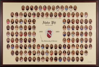 Beta Epsilon Chapter Composite Photograph, 2002-2003