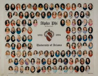 Beta Epsilon Chapter Composite Photograph, 1993-1994
