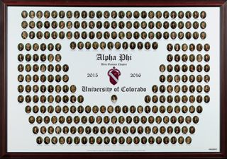Beta Gamma Chapter Composite Photograph, 2015-2016
