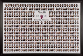 Beta Mu Chapter Composite Photograph, 2016-2017