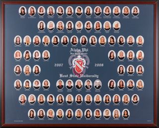 Beta Omega Chapter Composite Photograph, 2007-2008