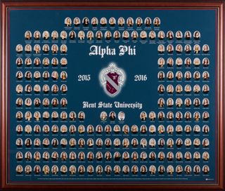 Beta Omega Chapter Composite Photograph, 2015-2016