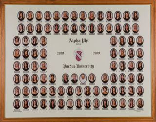 Delta Mu Chapter Composite Photograph, 2008-2009