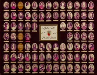 Delta Mu Chapter Composite Photograph, 1972-1973
