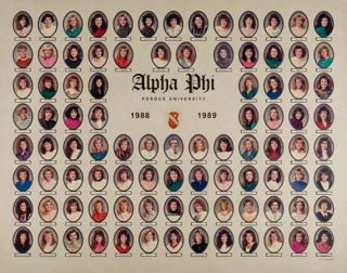 Delta Mu Chapter Composite Photograph, 1988-1989
