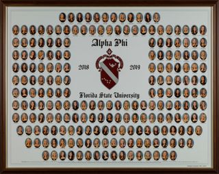 Gamma Phi Chapter Composite Photograph, 2018-2019