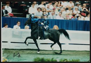 Sara Mayer Riding Diamond Hustler Photograph, 1998