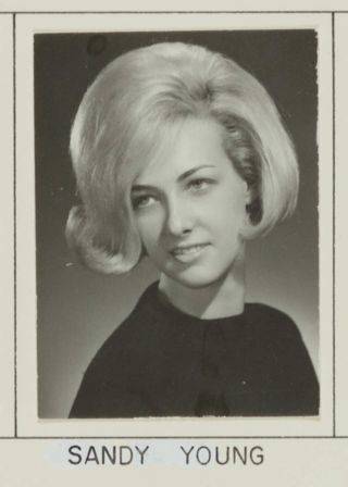 Beta Gamma Chapter Composite Detail, Sandy Young, 1965