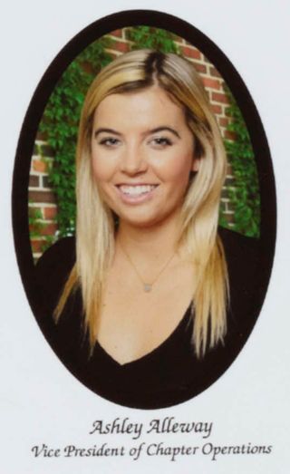 Beta Gamma Chapter Composite Detail, Ashley Alleway, 2016-2017