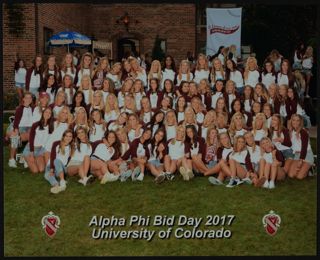 Beta Gamma Chapter Bid Day Group Photograph 3, 2017