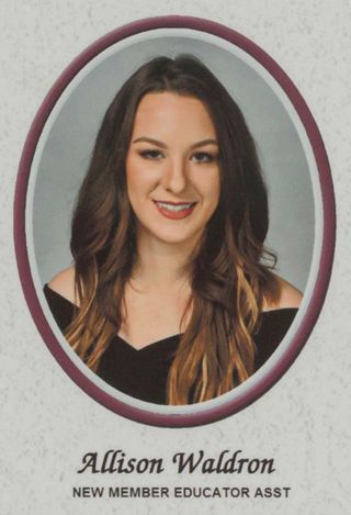 Beta Tau Chapter Composite Detail, Allison Waldron, 2016-2017