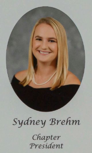 Gamma Phi Chapter Composite Detail, Sydney Brehm, 2015-2016