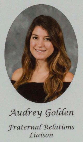 Gamma Phi Chapter Composite Detail, Audrey Golden, 2015-2016