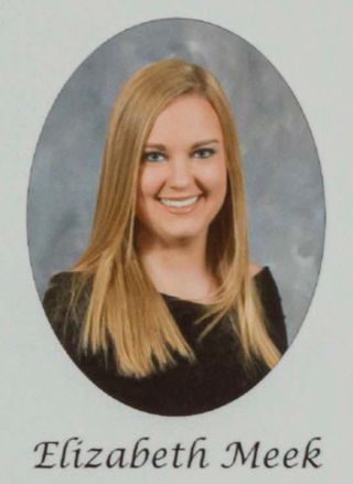 Gamma Phi Chapter Composite Detail, Elizabeth Meek, 2016-2017