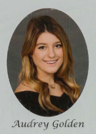 Gamma Phi Chapter Composite Detail, Audrey Golden, 2017-2018