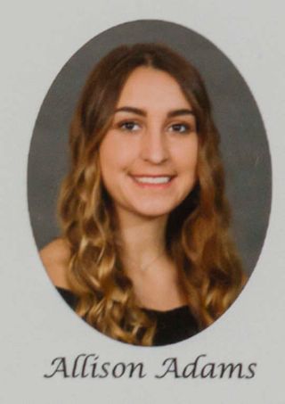 Gamma Phi Chapter Composite Detail, Allison Adams, 2017-2018