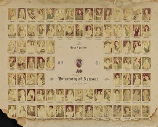 Beta Epsilon Chapter Composite Photograph, 1980-1981