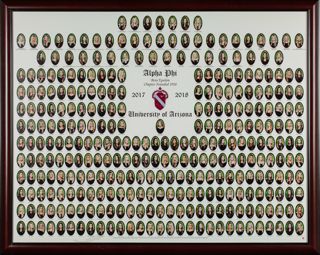 Beta Epsilon Chapter Composite Photograph, 2017-2018