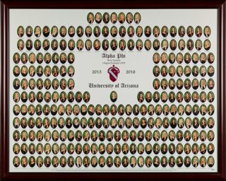 Beta Epsilon Chapter Composite Photograph, 2015-2016