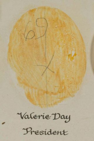 Beta Epsilon Chapter Composite Detail, Valerier Day, 1988-1989