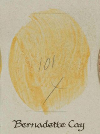 Beta Epsilon Chapter Composite Detail, Bernadette Cay, 1988-1989