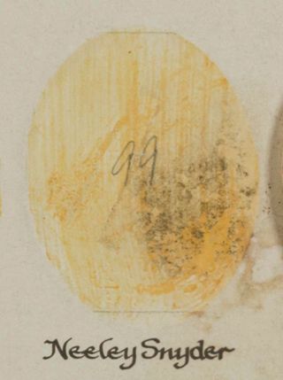 Beta Epsilon Chapter Composite Detail, Neeley Snyder, 1988-1989
