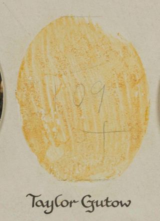 Beta Epsilon Chapter Composite Detail, Taylor Gutow, 1988-1989