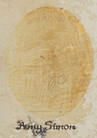 Beta Epsilon Chapter Composite Detail, Amy Simon, 1988-1989