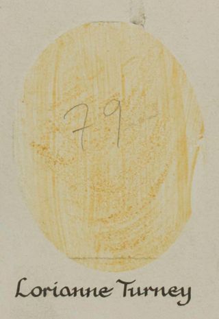 Beta Epsilon Chapter Composite Detail, Lorianne Turney, 1988-1989