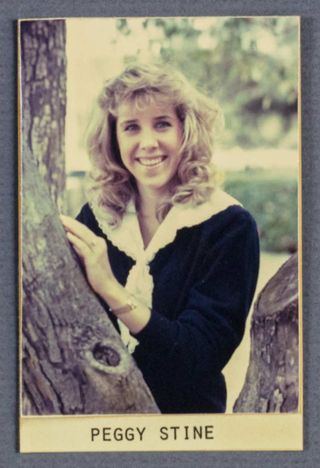 Beta Epsilon Chapter Composite Detail, Peggy Stine, 1987-1988