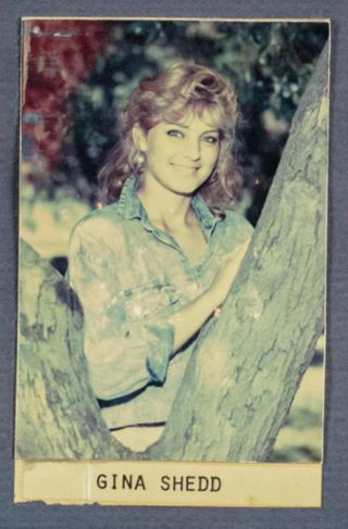 Beta Epsilon Chapter Composite Detail, Gina Shedd, 1987-1988