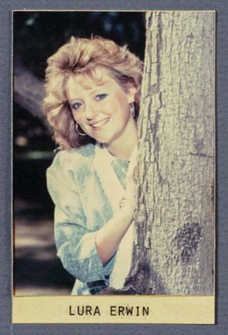 Beta Epsilon Chapter Composite Detail, Lura Erwin, 1987-1988