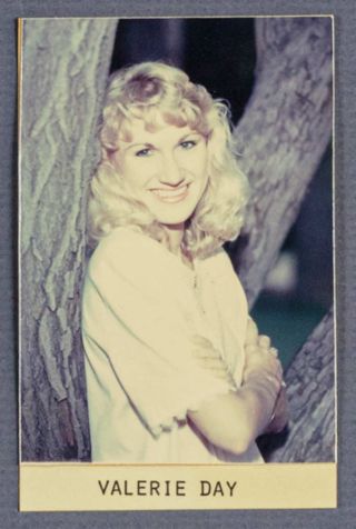 Beta Epsilon Chapter Composite Detail, Valerie Day, 1987-1988