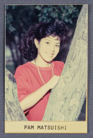 Beta Epsilon Chapter Composite Detail, Pam Matsuishi, 1987-1988