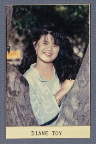 Beta Epsilon Chapter Composite Detail, Diane Toy, 1987-1988