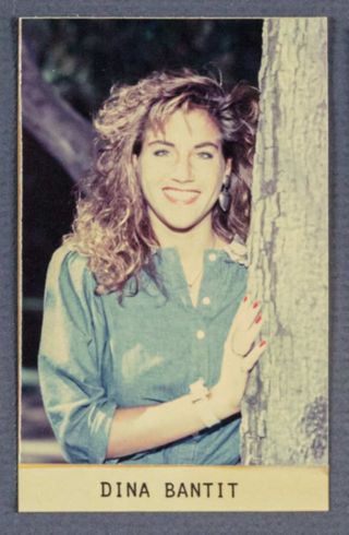 Beta Epsilon Chapter Composite Detail, Dina Bantit, 1987-1988