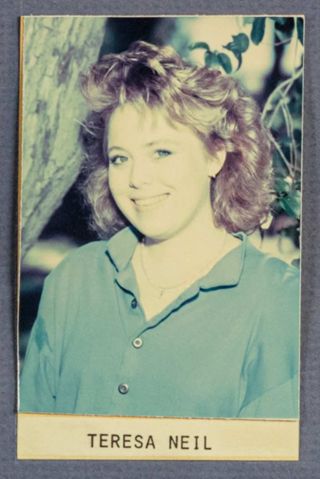 Beta Epsilon Chapter Composite Detail, Teresa Neil, 1987-1988